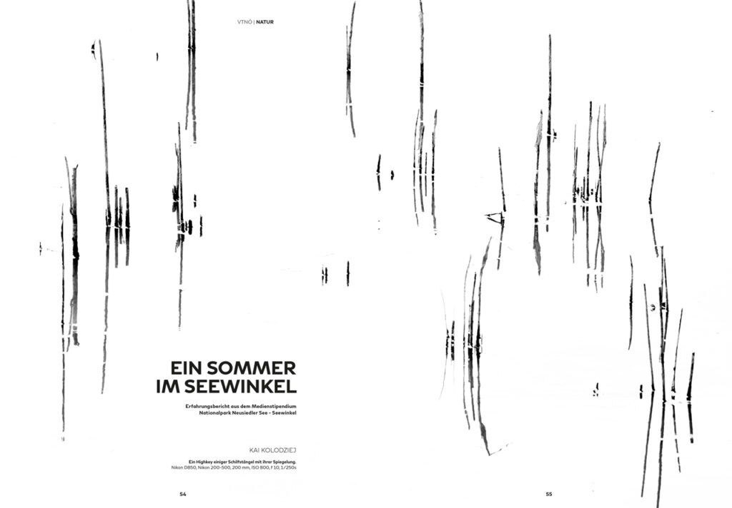 Ein Sommer im Seewinkel - Kai Kolodziej