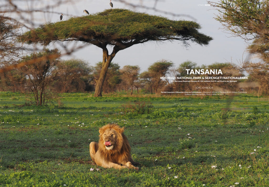 Tansania - Mkomazi Nationalpark und Serengeti Nationalpark - Jörg Ehrlich