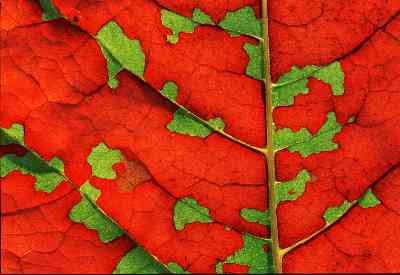 Platz 02 - Komposition & Form