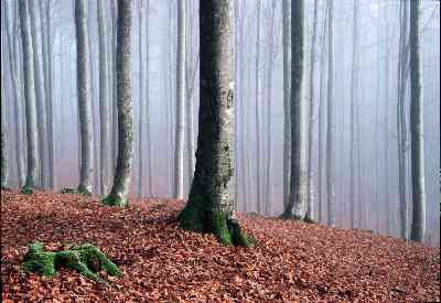 Platz 01 - Landschaft