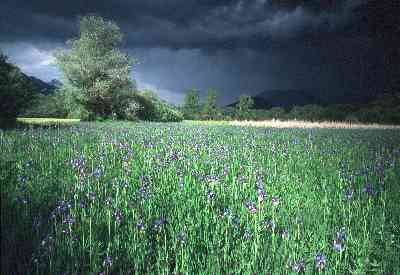 Platz 02 - Landschaft