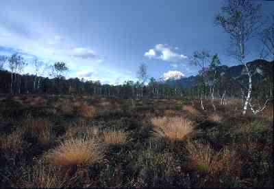 Platz 03 - Landschaft