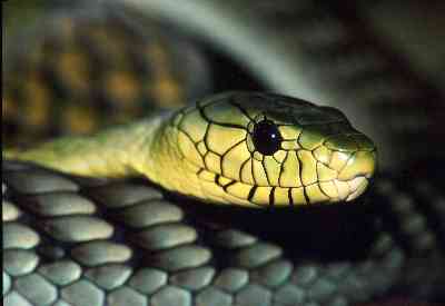 Platz 02 - Zoo & Gehege